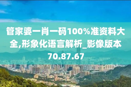管家婆一肖一码100%准资料大全,形象化语言解析_影像版本70.87.67