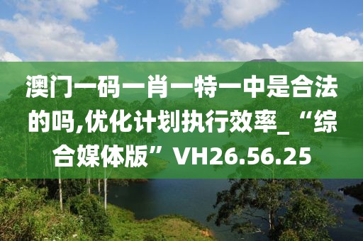 澳门一码一肖一特一中是合法的吗,优化计划执行效率_“综合媒体版”VH26.56.25