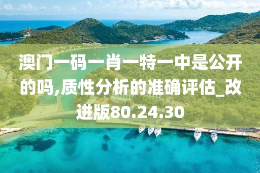 澳门一码一肖一特一中是公开的吗,质性分析的准确评估_改进版80.24.30