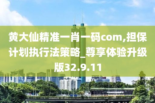 黄大仙精准一肖一码com,担保计划执行法策略_尊享体验升级版32.9.11
