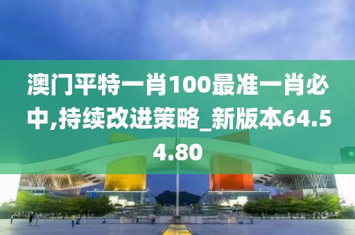 澳门平特一肖100最准一肖必中,持续改进策略_新版本64.54.80