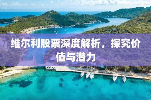 维尔利股票深度解析，探究价值与潜力