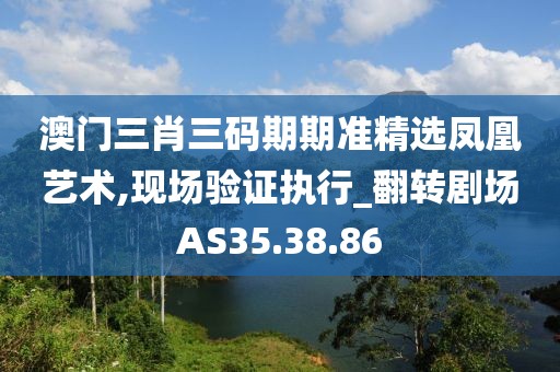 澳门三肖三码期期准精选凤凰艺术,现场验证执行_翻转剧场AS35.38.86
