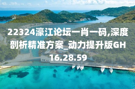 22324濠江论坛一肖一码,深度剖析精准方案_动力提升版GH16.28.59