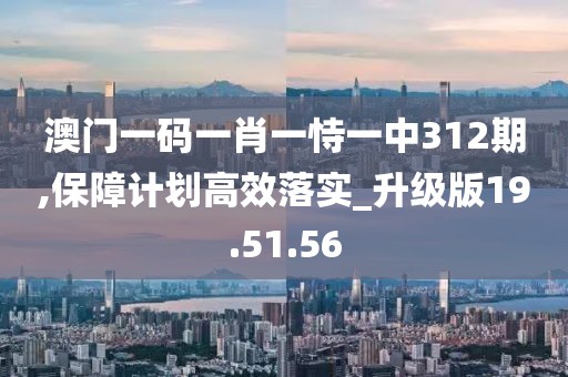澳门一码一肖一恃一中312期,保障计划高效落实_升级版19.51.56