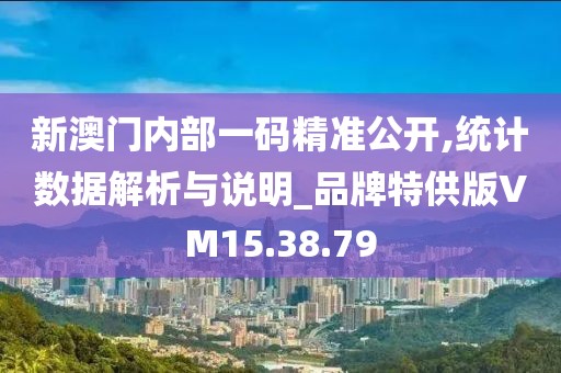 新澳门内部一码精准公开,统计数据解析与说明_品牌特供版VM15.38.79