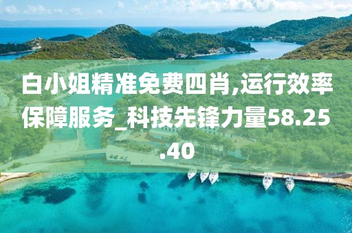 白小姐精准免费四肖,运行效率保障服务_科技先锋力量58.25.40