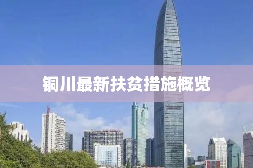 铜川最新扶贫措施概览