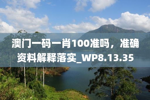 澳门一码一肖100准吗，准确资料解释落实_WP8.13.35
