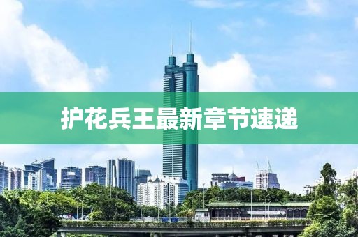 护花兵王最新章节速递