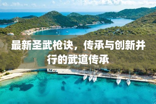 最新圣武枪诀，传承与创新并行的武道传承