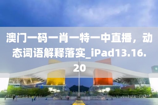 澳门一码一肖一特一中直播，动态词语解释落实_iPad13.16.20