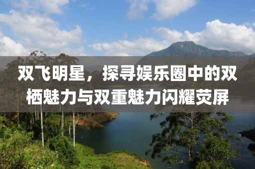 双飞明星，探寻娱乐圈中的双栖魅力与双重魅力闪耀荧屏