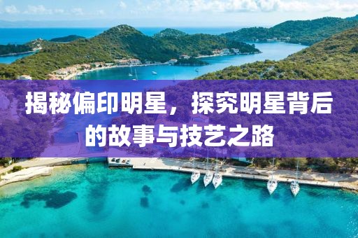 揭秘偏印明星，探究明星背后的故事与技艺之路
