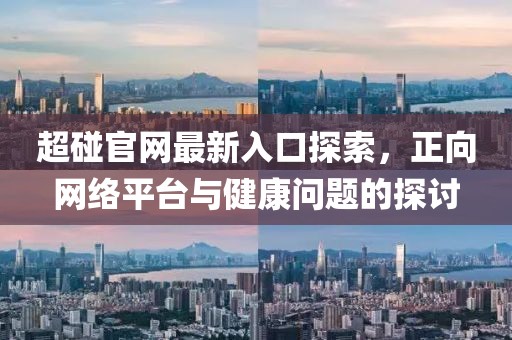 习景彰 第4页