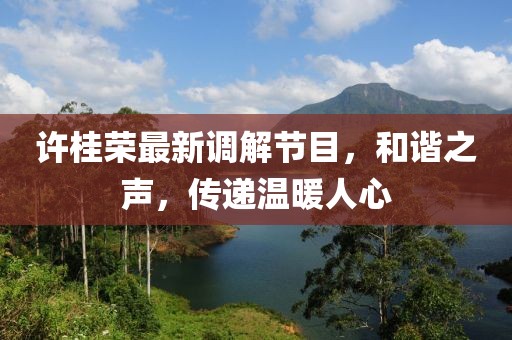 许桂荣最新调解节目，和谐之声，传递温暖人心