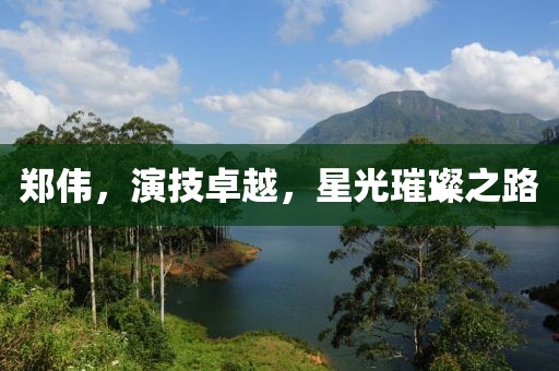 郑伟，演技卓越，星光璀璨之路