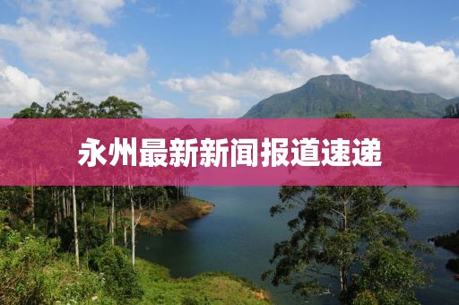永州最新新闻报道速递