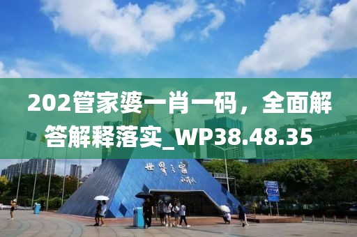 202管家婆一肖一码，全面解答解释落实_WP38.48.35
