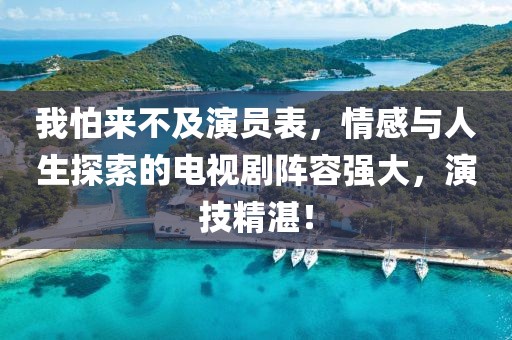 我怕来不及演员表，情感与人生探索的电视剧阵容强大，演技精湛！