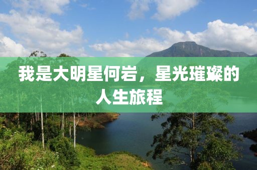 我是大明星何岩，星光璀璨的人生旅程