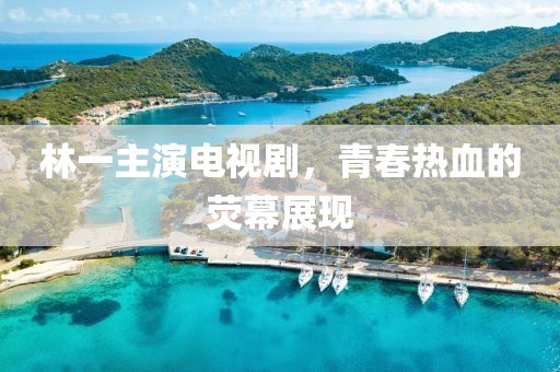 林一主演电视剧，青春热血的荧幕展现