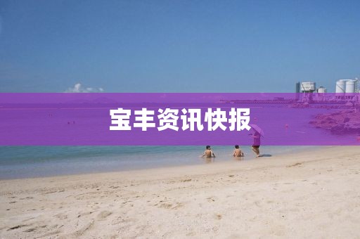 宝丰资讯快报