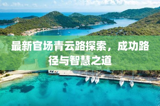 最新官场青云路探索，成功路径与智慧之道