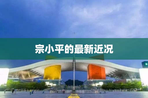 宗小平的最新近况
