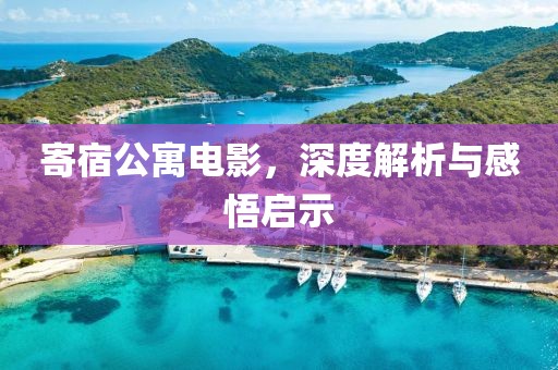 寄宿公寓电影，深度解析与感悟启示