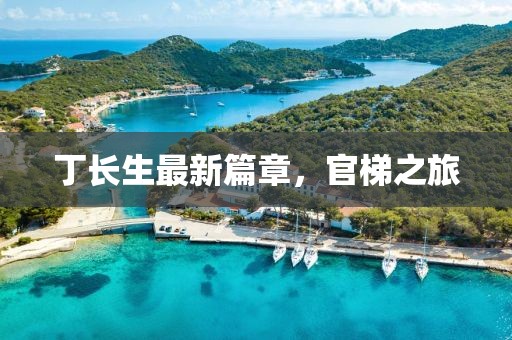丁长生最新篇章，官梯之旅