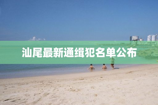 汕尾最新通缉犯名单公布