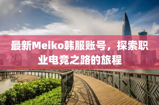 最新Meiko韩服账号，探索职业电竞之路的旅程