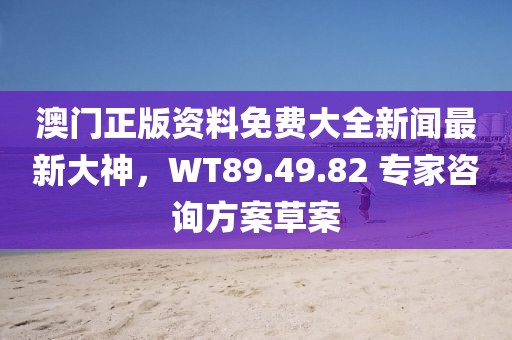 澳门正版资料免费大全新闻最新大神，WT89.49.82 专家咨询方案草案