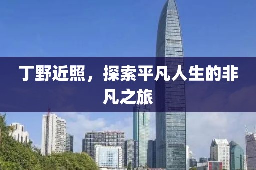 丁野近照，探索平凡人生的非凡之旅