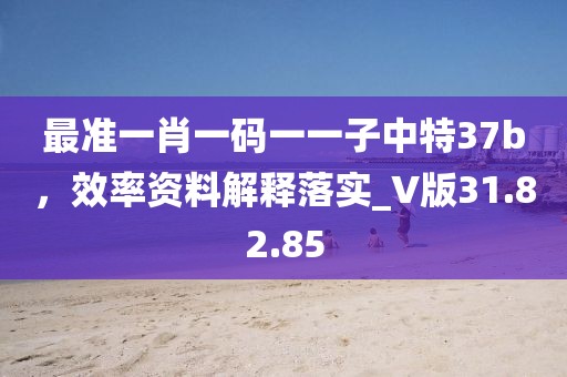 最准一肖一码一一子中特37b，效率资料解释落实_V版31.82.85