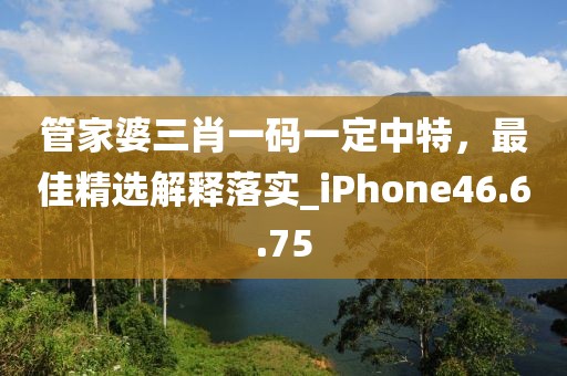 第6616页