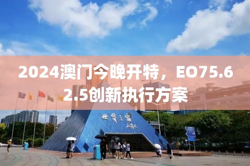2024澳门今晚开特，EO75.62.5创新执行方案
