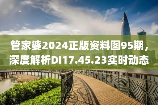 管家婆2024正版资料图95期，深度解析DI17.45.23实时动态