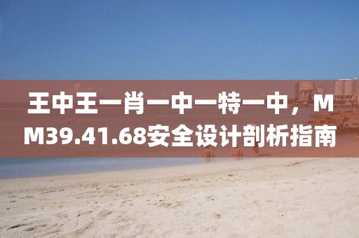 王中王一肖一中一特一中，MM39.41.68安全设计剖析指南