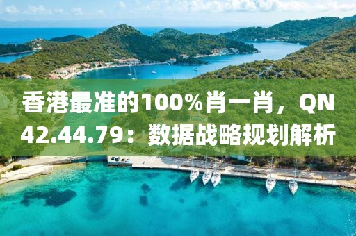 香港最准的100%肖一肖，QN42.44.79：数据战略规划解析