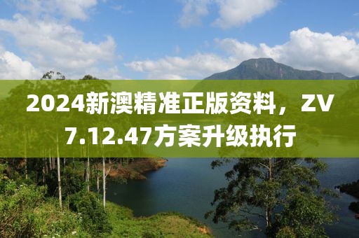 2024新澳精准正版资料，ZV7.12.47方案升级执行
