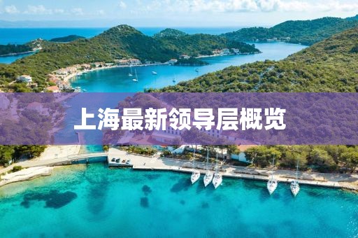 上海最新领导层概览