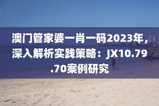 澳门管家婆一肖一码2023年，深入解析实践策略：JX10.79.70案例研究