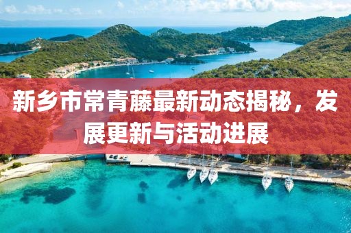 新乡市常青藤最新动态揭秘，发展更新与活动进展