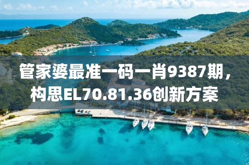 管家婆最准一码一肖9387期，构思EL70.81.36创新方案