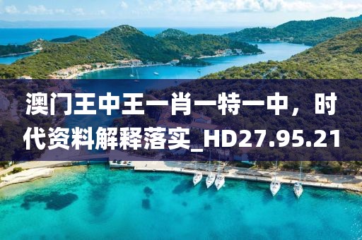 澳门王中王一肖一特一中，时代资料解释落实_HD27.95.21