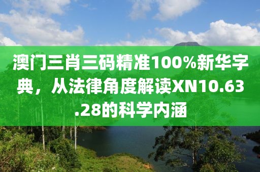 澳门三肖三码精准100%新华字典，从法律角度解读XN10.63.28的科学内涵
