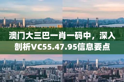 澳门大三巴一肖一码中，深入剖析VC55.47.95信息要点