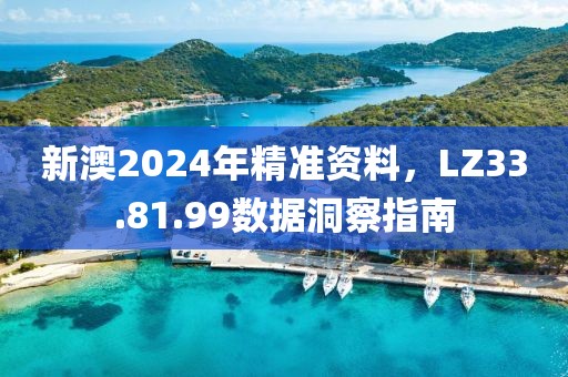 新澳2024年精准资料，LZ33.81.99数据洞察指南